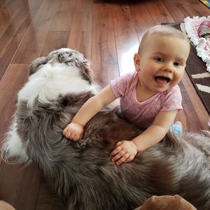 Meet your Posher, Chyannye